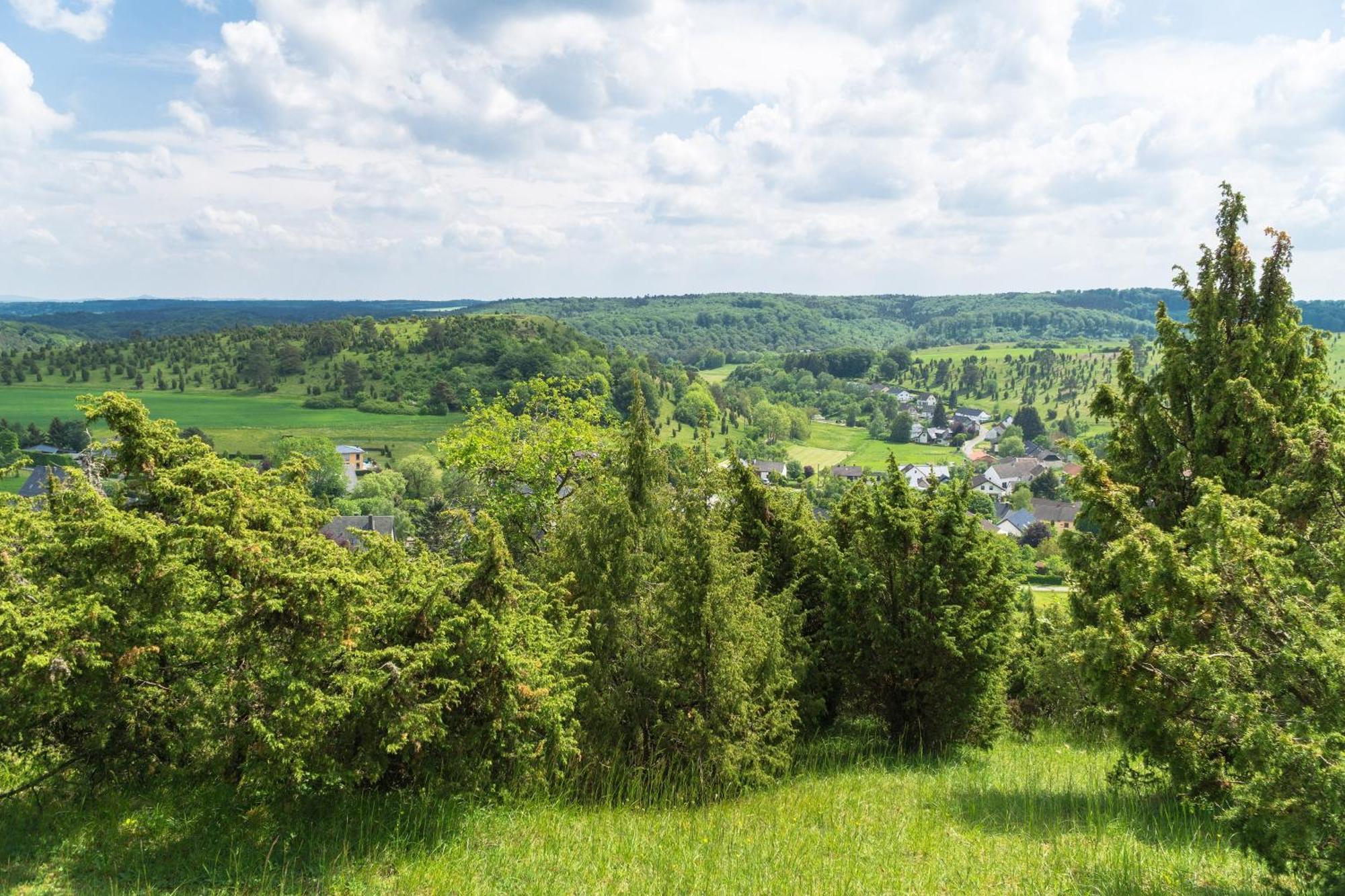 Holzhaus Onkel Fritz Mit Sauna Und Whirlwanne Esch  Eksteriør billede