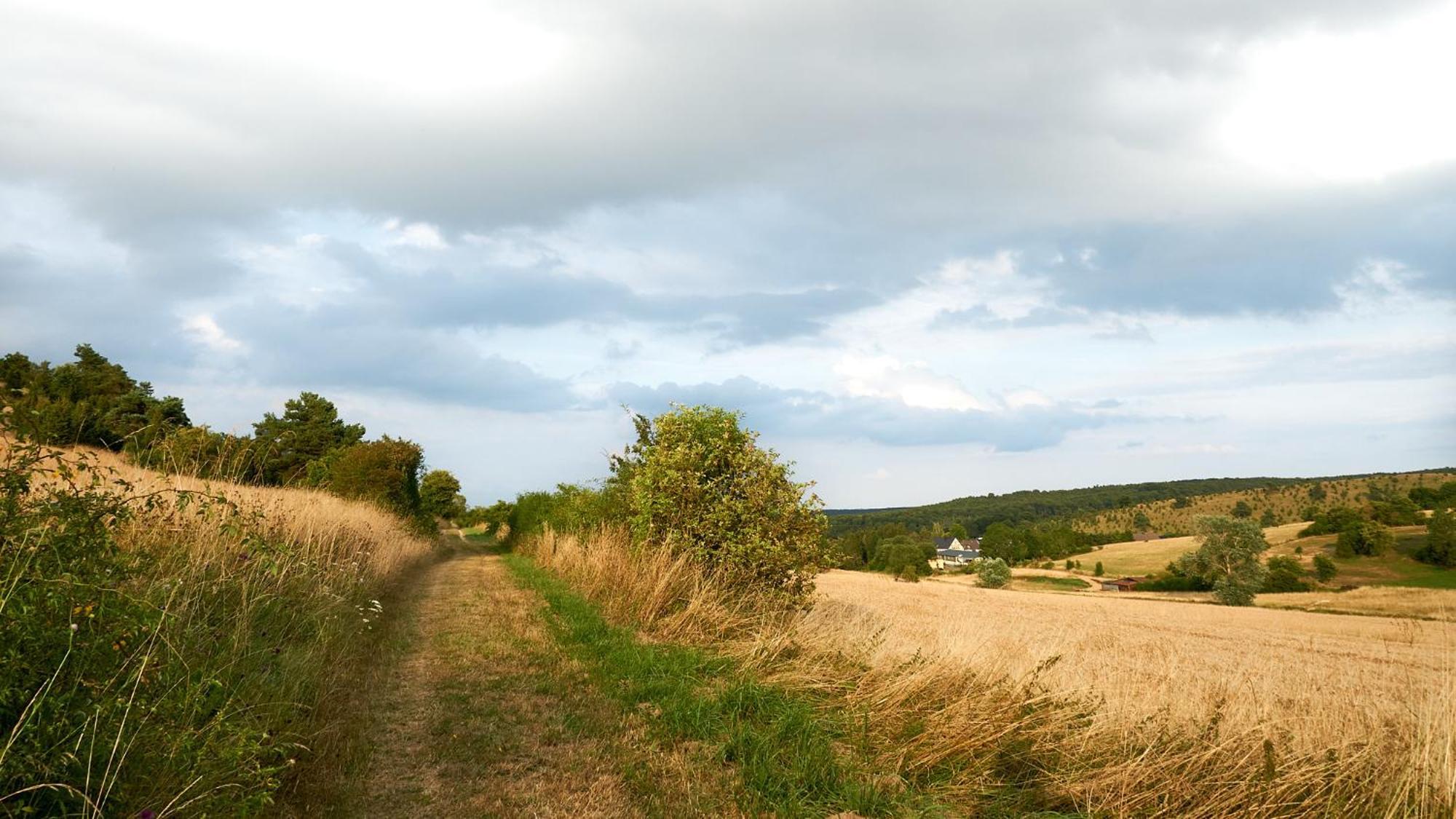 Holzhaus Onkel Fritz Mit Sauna Und Whirlwanne Esch  Eksteriør billede