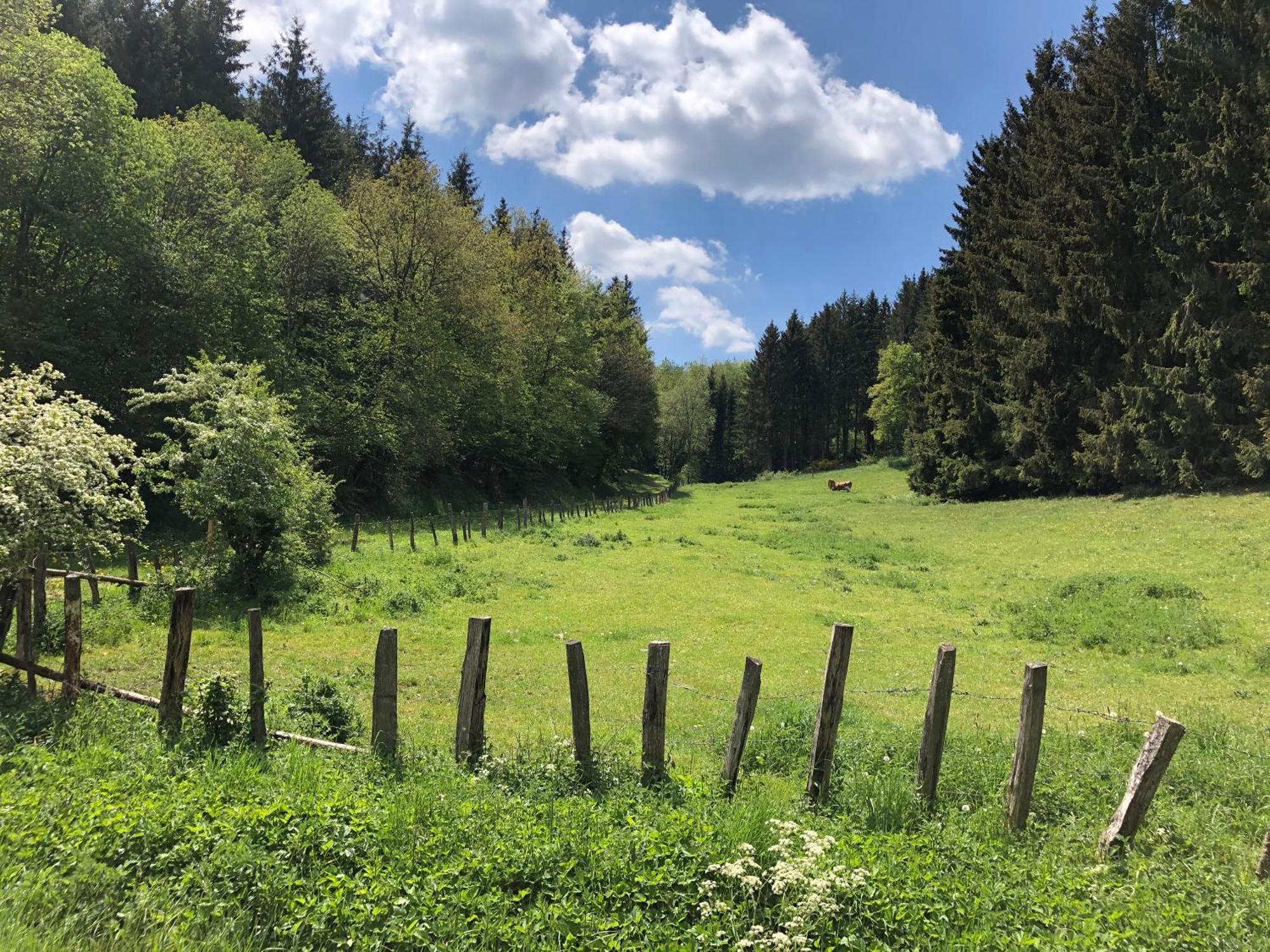 Holzhaus Onkel Fritz Mit Sauna Und Whirlwanne Esch  Eksteriør billede